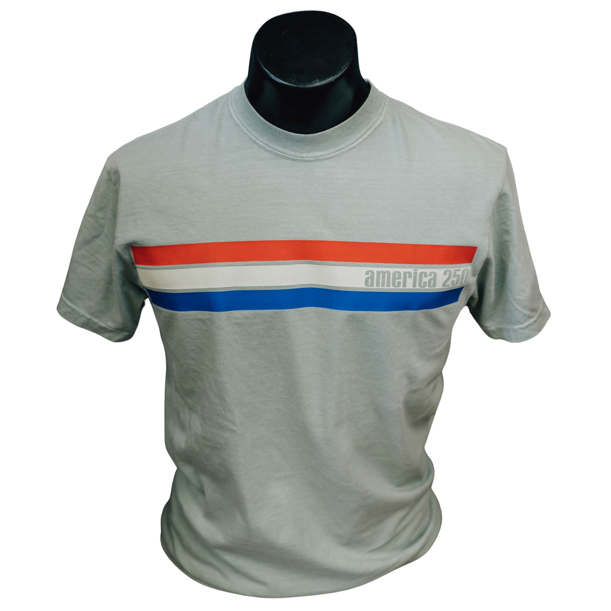 America 250 Retro Stripe Tee (sage)